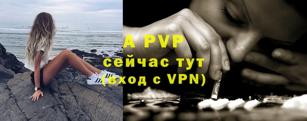 бошки Касимов