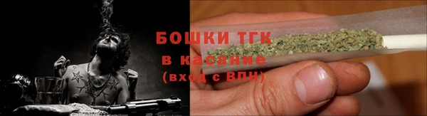 хмурый Карпинск