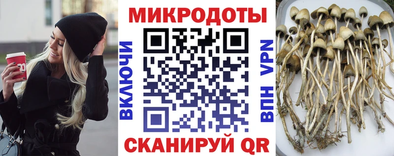 Галлюциногенные грибы мицелий  Купить закладки  Кинешма 